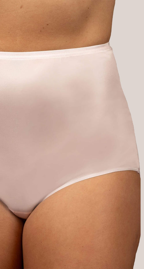 Nylon Hidden Elastic Full Brief Panty in Blush