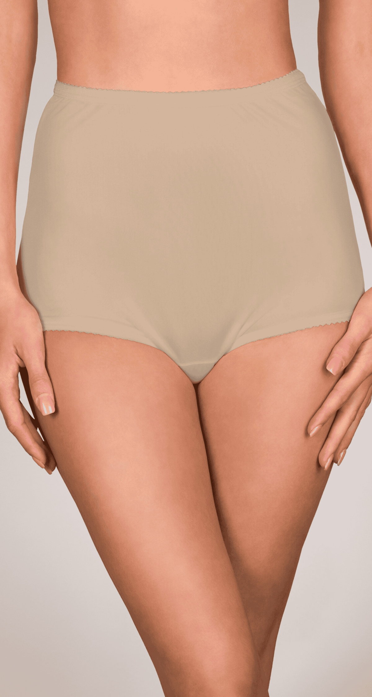17042 Full Brief Panty in Nude Front View