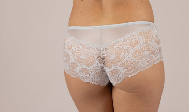 Shadowline Lace Cheeky panty in Silver